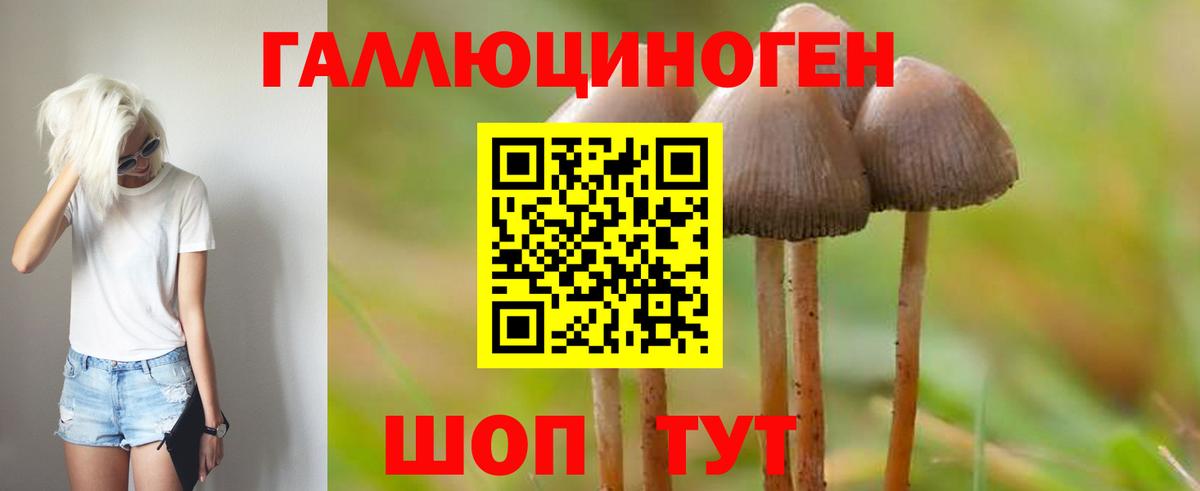 Галлюциногенные грибы Magic Shrooms Чистополь